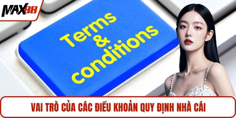 Vai trò của các điều khoản quy định nhà cái